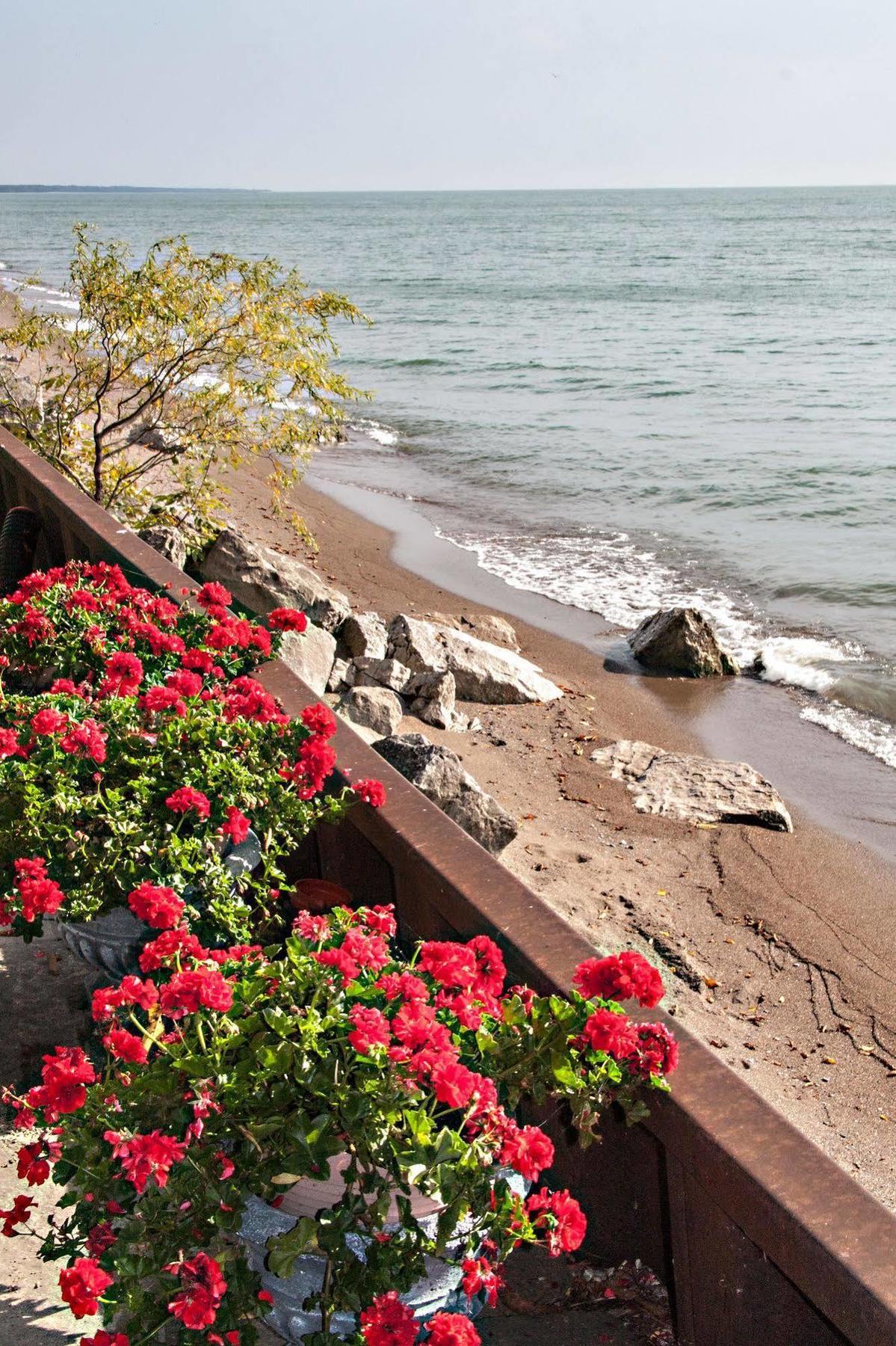 Point Pelee Lakeshore B&B Leamington Exterior foto